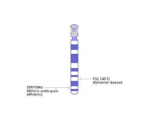 福建助孕公司机构,福建第三代试管生男孩医院排名，附助孕机构名单？