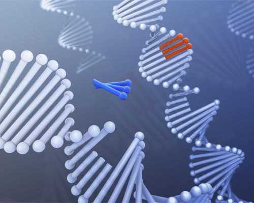 厦门试管婴儿医院成功率揭秘：解析辅助生殖技术与流程