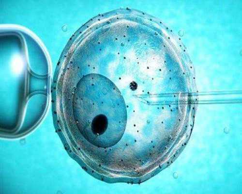 福建省生育登记办理指南与辅助生殖技术前沿