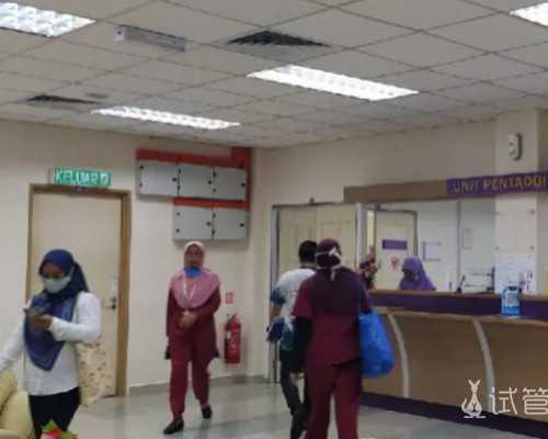 福州代怀招聘 厦门一七四和福州总院试管哪个好？提高胚胎质量该怎么做？ ‘