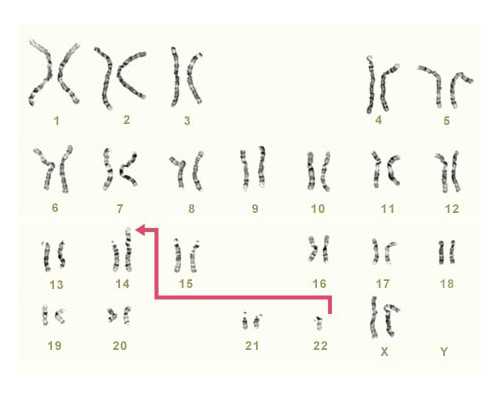 借卵生子条件揭秘：40岁试管婴儿成功率有多大？