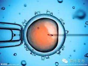克孜勒苏柯尔克孜现在代孕多吗_锦州试管婴儿胚胎移植成功！辽西首例！